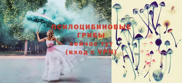 амф Нефтегорск