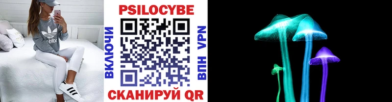 Псилоцибиновые грибы мицелий blacksprut вход Омск
