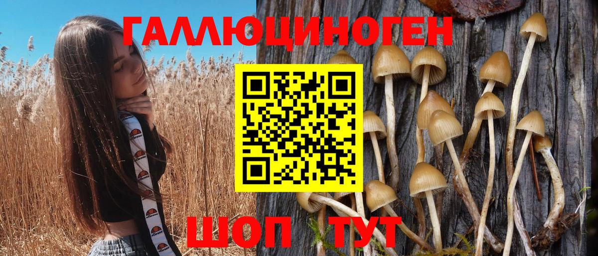 Псилоцибиновые грибы Psilocybine cubensis  Вход с VPN  Омск 