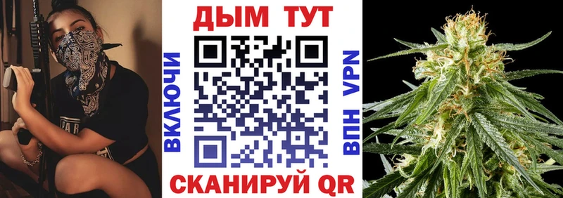 где купить наркоту  Омск  Бошки марихуана SATIVA & INDICA 